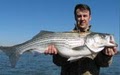 Lake Lanier Striper & Bass Fishing Guide Service image 5