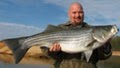 Lake Lanier Striper & Bass Fishing Guide Service image 6
