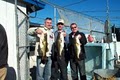 Lake Okeechobee Bass Fishing Guides image 6