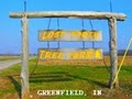Lost Forty Tree Farm image 3