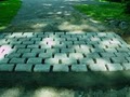 Luciano Paving image 3
