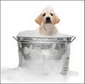 Luxury Pet Services image 4