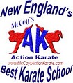 Mccoys Action Karate image 1