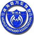 Metro TaeKwonDo image 4