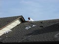Michigan Roof Siding Window Gutter image 5
