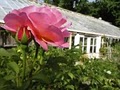 Michler Florist & Greenhouses image 6