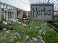Michler Florist & Greenhouses image 9