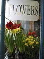 Michler Florist & Greenhouses image 10