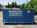 Mini Dumpsters image 6
