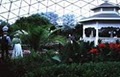 Mitchell Park Domes image 2