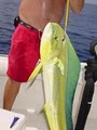 Monster Fishing Charters image 2