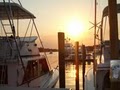 Monster Fishing Charters image 10