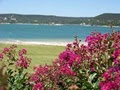 Montina Beach on Lake Travis image 1
