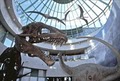 Museum of Natural Sciences image 2