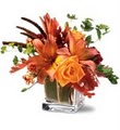 Nature's Splendor Florist image 8