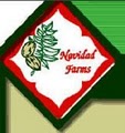 Navidad Farms Pecans image 4