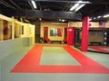 New York Jiu Jitsu image 5