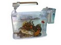 OCReef.com - Online Aquarium Supplies Web Store image 3