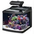 OCReef.com - Online Aquarium Supplies Web Store image 10