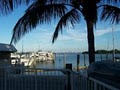 Palm Bay Marina image 6