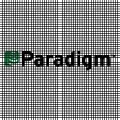 Paradigm image 1