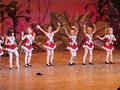 Parker Dance Academy image 8