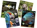 PetSolutions image 2