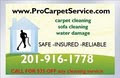 ProCarpetService.com LLC image 4