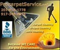 ProCarpetService.com LLC image 5