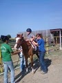 Prospect Mountain Therapeutic Riding Center image 8