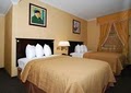 Quality Inn Downtown image 2