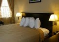 Quality Inn Downtown image 7