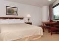 Quality Inn & Suites Airport image 2