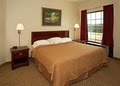 Quality Inn & Suites image 8