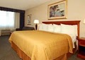 Quality Inn University image 2