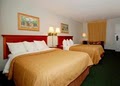 Quality Inn image 6