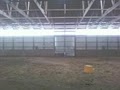 RIDGEVIEW STABLES image 2
