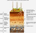 Read Custom Soils image 9