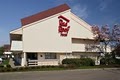 Red Roof Inn image 5