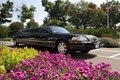 Renee's Royal Valet Limousine Service - Minneapolis image 8