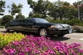 Renee's Royal Valet Limousine Service - Minneapolis image 10