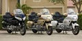 Rent Goldwings image 3