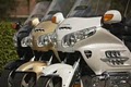 Rent Goldwings image 4