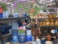 Ricky's Flower Market image 6