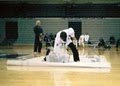 Rockcastle County Shaolin Do Martial Arts image 2
