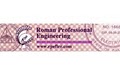 Roman Professional Engineering logo