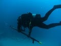 SCUBA QUEST image 3