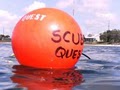 SCUBA QUEST image 8