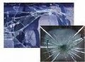 San Antonio's Mobile Auto Glass Repair image 5