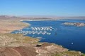 San Luis Reservoir State Recreation Area image 8
